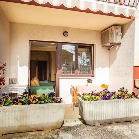Mirjana Apartment *